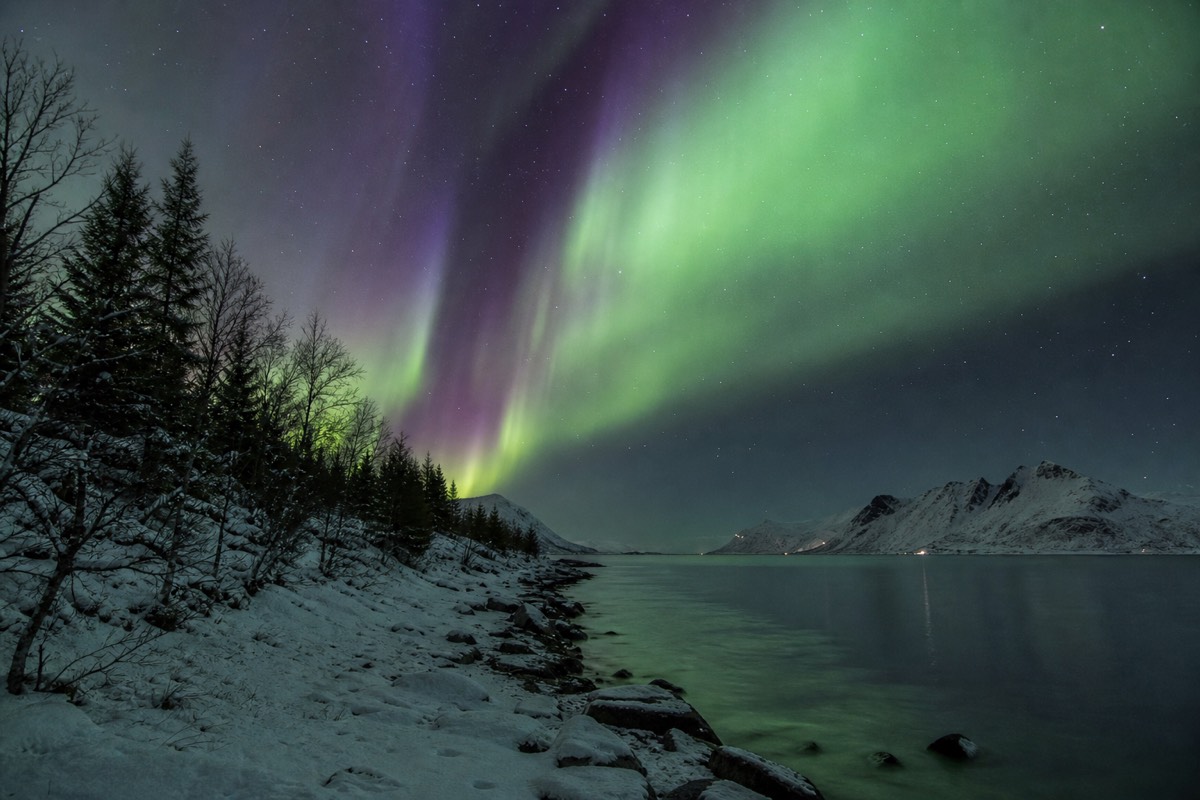 Green aurora borealis over a snowy forest clearing in Finnish Lapland