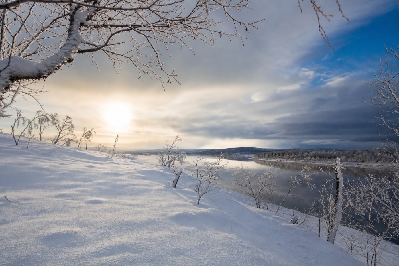 Snow-covered pine forest under a colorful aurora sky near Rovaniemi, Finnish Lapland, illustrating the region's winter climate