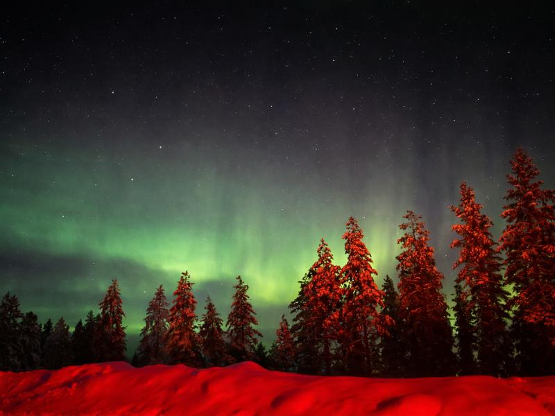 Rovaniemi Northern Lights Chase: 97% Seen & Full Aurora Guarantee