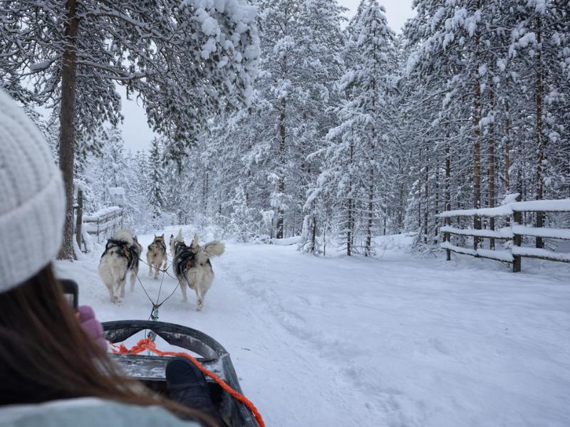 Rovaniemi Reindeer & Husky Safari – Lapland Animal Adventure
