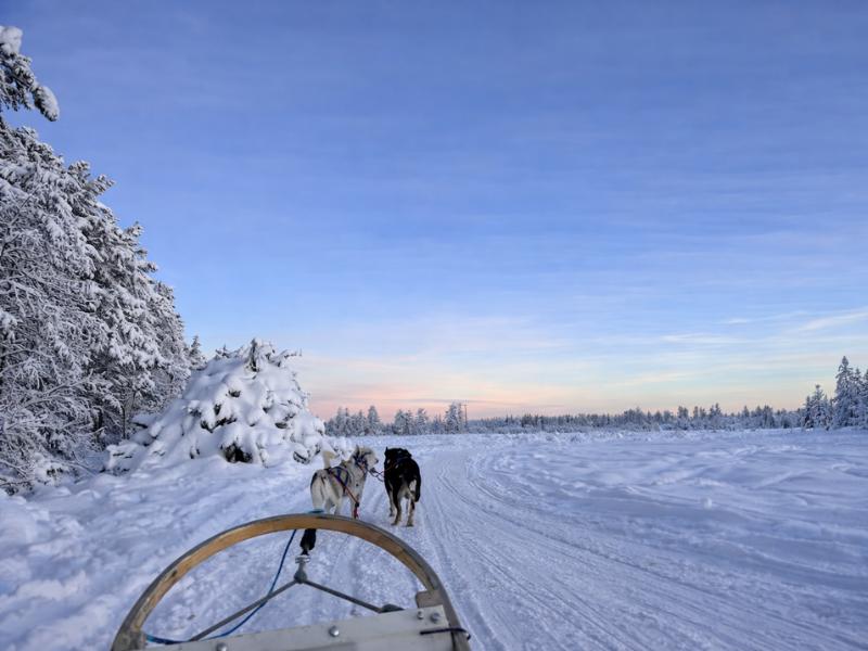 Rovaniemi Self-Drive Husky Safari (6–10 km) with BBQ