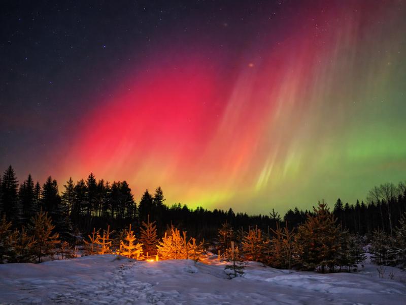 Rovaniemi Small-Group Aurora Hunt: Professional Photos & Refund Guarantee
