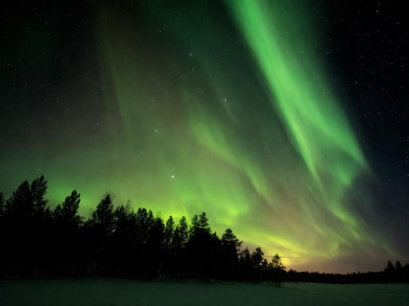 Rovaniemi Small-Group Northern Lights Photography Tour