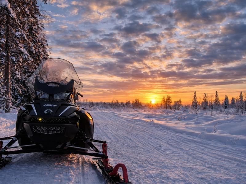 Rovaniemi Snowmobile Safari into the Arctic Circle Forest